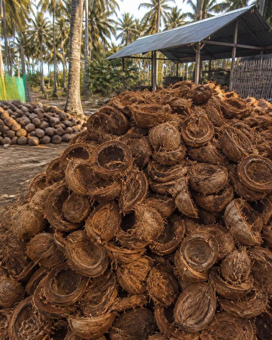 Coconut husks stacked at the edge of a smallholder farm